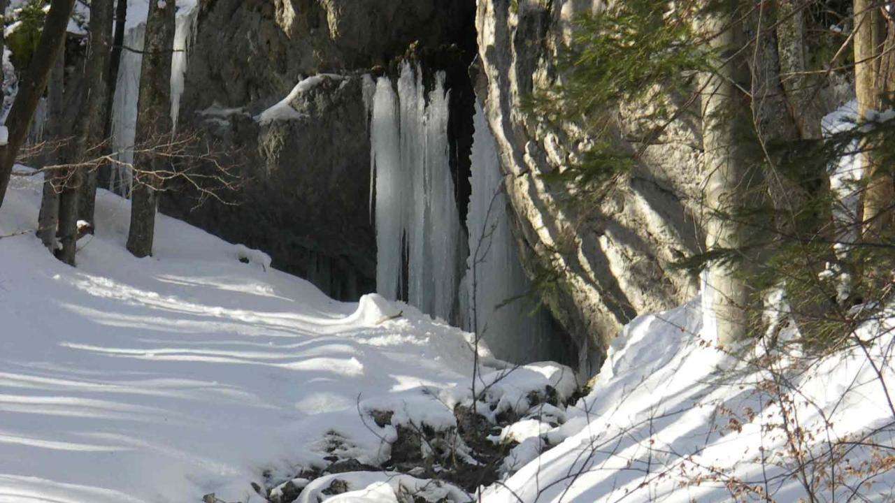 Hotel Kaiser Franz Josef Rohr im Gebirge Екстер'єр фото
